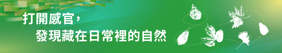 環境關懷系列