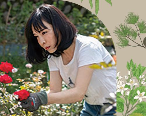 南方植物香氣學──從高屏在地植物開始，打造天然生活提案